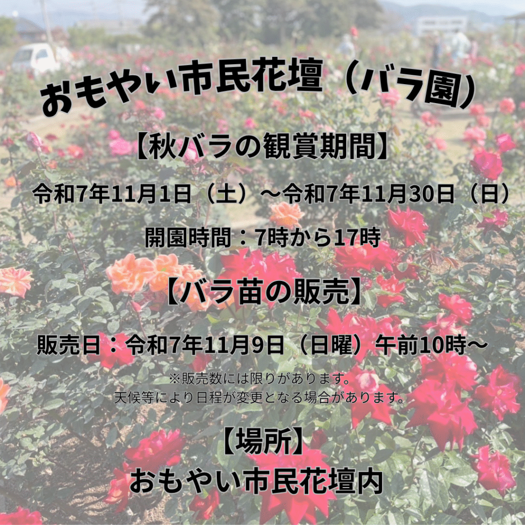 【バラ売り販売】コメントお待ちしてます 令和7年度おもやい市民花壇（バラ園）秋バラ令和7年11月1日（土）～ 令