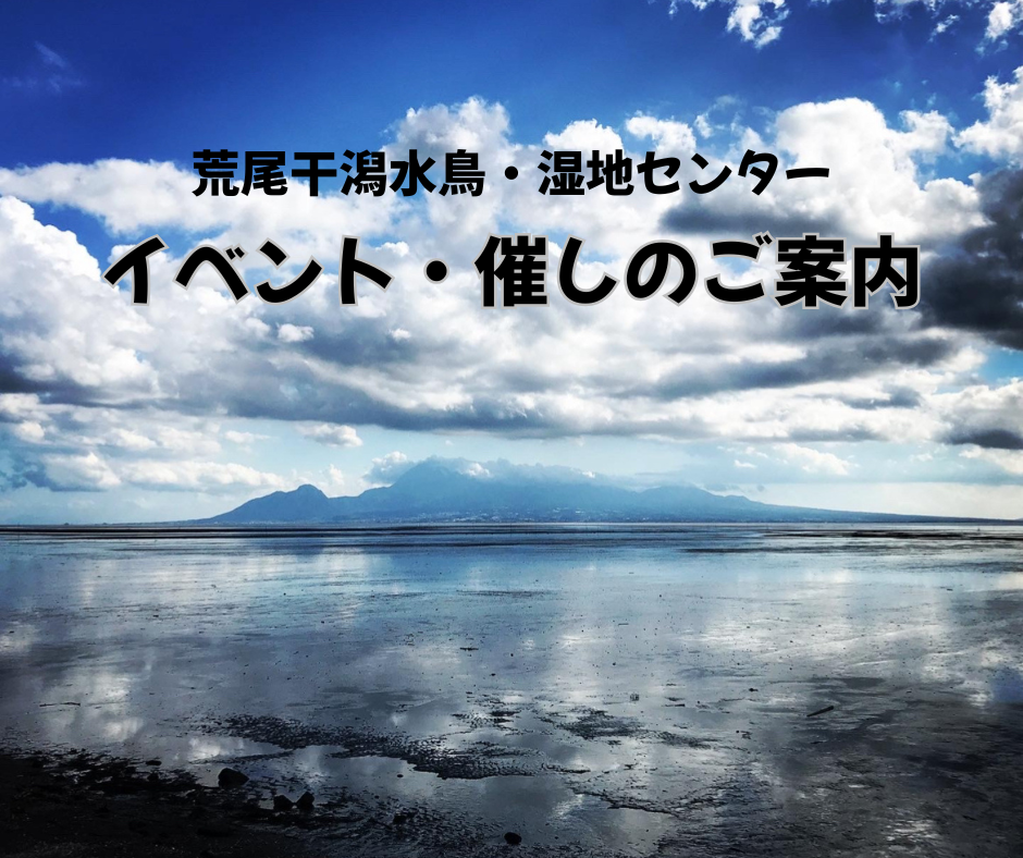 荒尾干潟水鳥・湿地センターでのイベント・催しのご案内 | まるごと